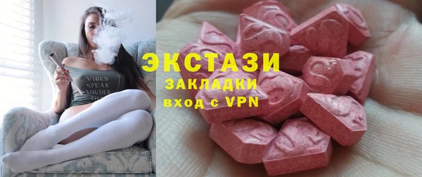 крисы Надым
