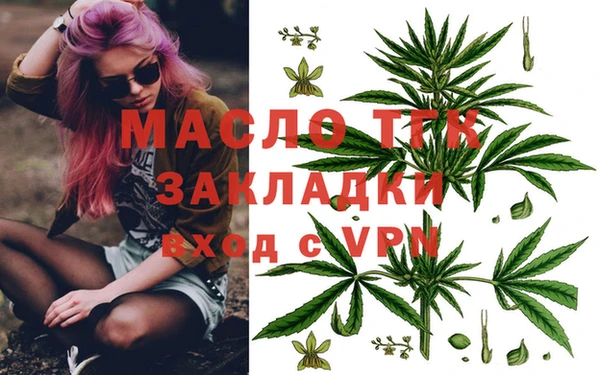 крисы Надым