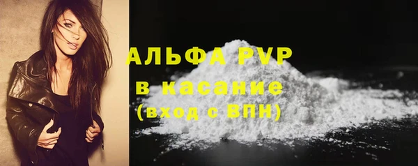 крисы Надым