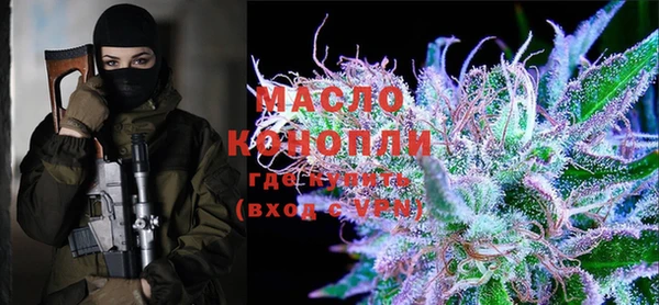крисы Надым
