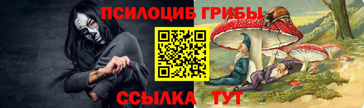 Псилоцибиновые грибы прущие грибы  Вход с VPN  Псилоцибиновые грибы Psilocybine cubensis  Краснокамск 
