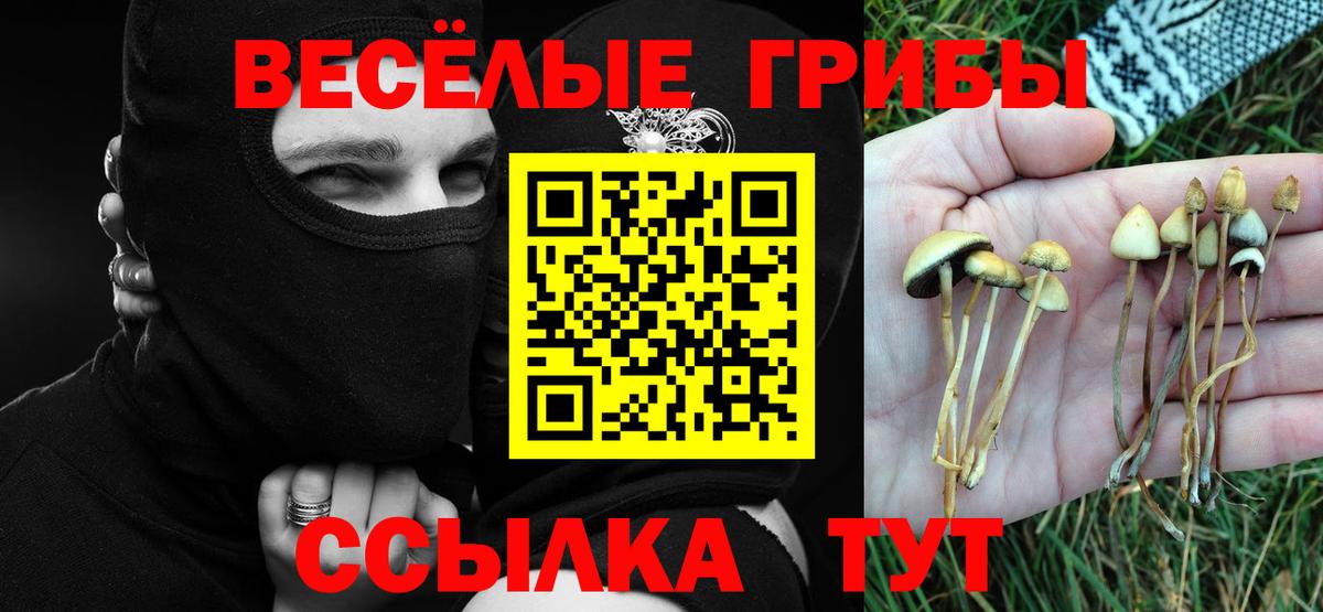 Марихуана  АМФЕТАМИН кристаллы  Альфа ПВП СК   Сколько стоит  Экстази  КОКАИН  Краснокамск  Марихуана  КОКАИН  Меф МЯУ МЯУ   ГАШИШ 